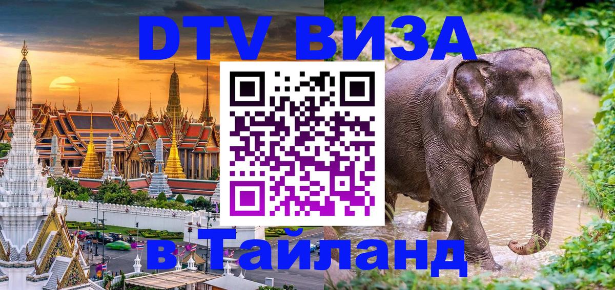 Сколько стоит DTV виза — актуальные цены, оформление даже без документов - 06.10.2025 